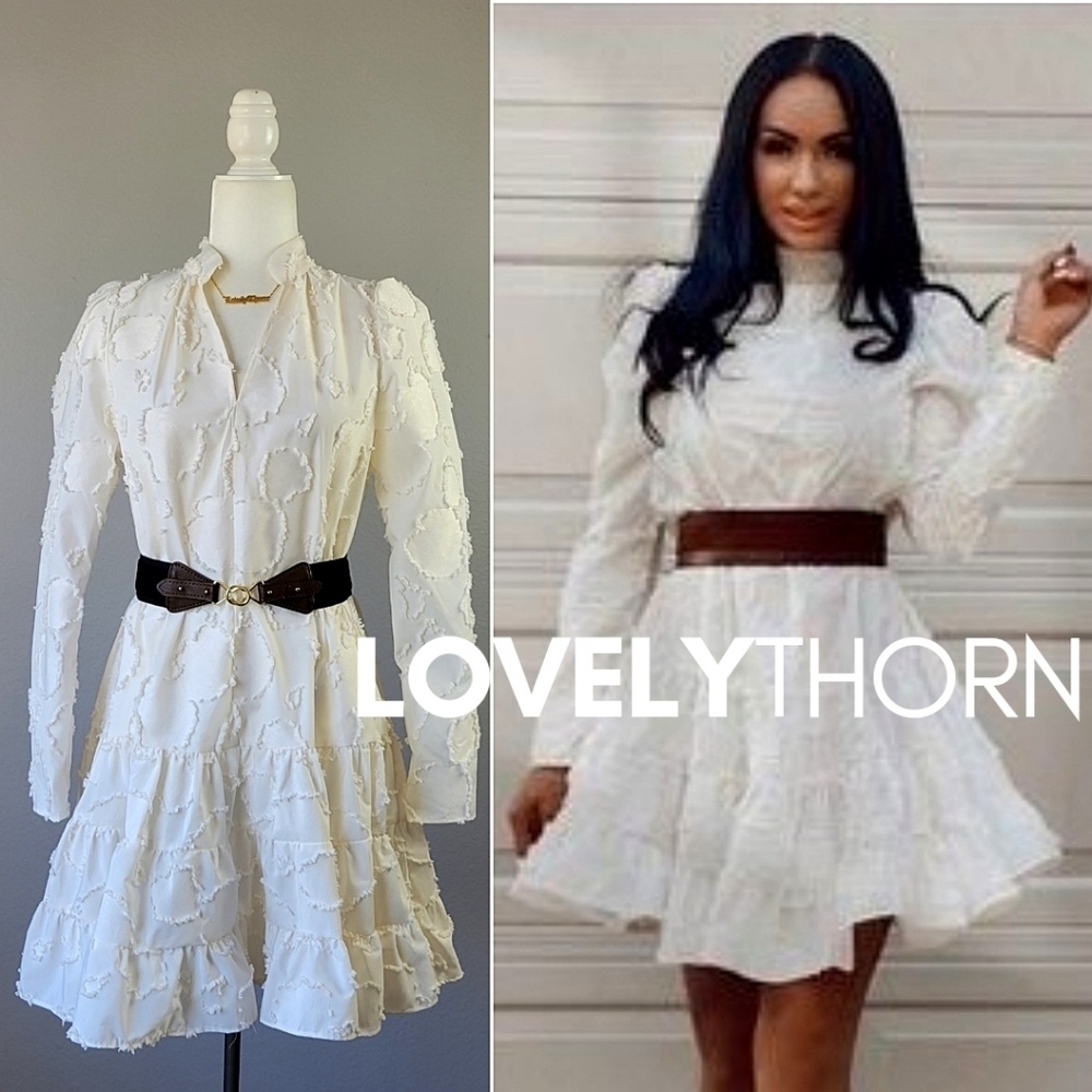 H&M // ltd ed blogger fave jacquard weave puff sleeve flare mini rocky barnes - Picture 8 of 16